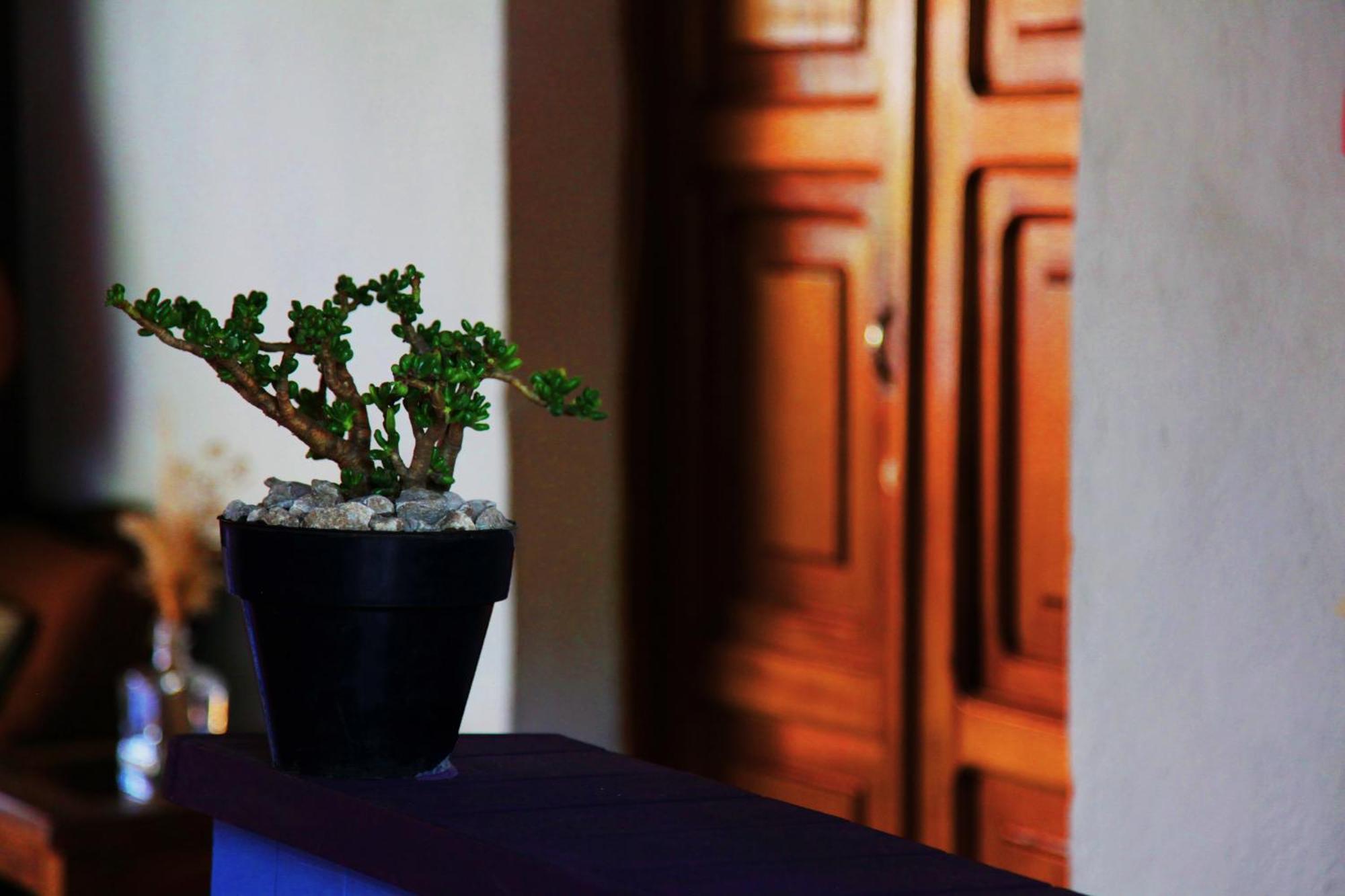 Hostal Antigueeno Antigua Bagian luar foto